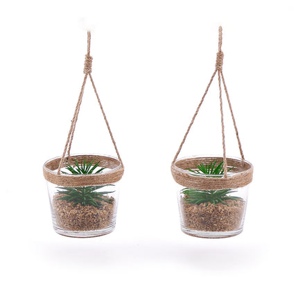 03000570_duo-hangende-kunstliche-sukkulenten-im-glas