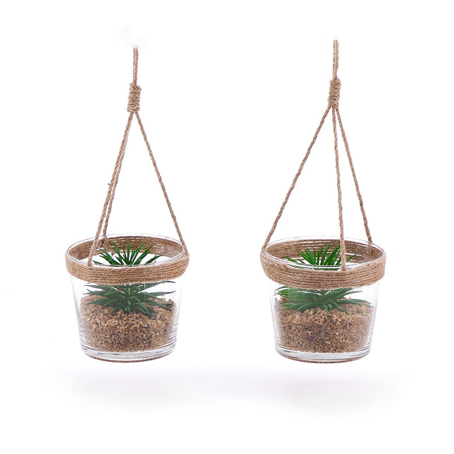 03000570_duo-hangende-kunstliche-sukkulenten-im-glas