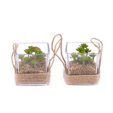 03000571_duo-kleine-kunstliche-sukkulenten-im-glas