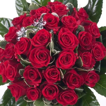 03000587_elite-rote-rosen-grand