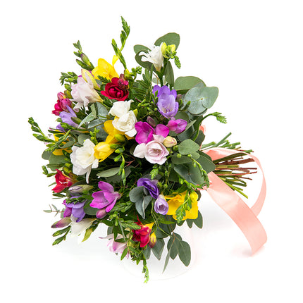 03000592_elite-bunte-freesien