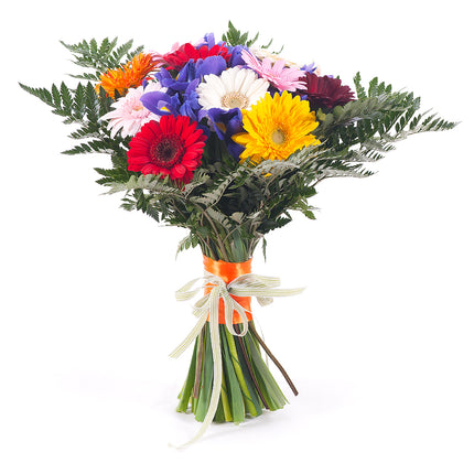 03000593_elite-bunte-gerbera-und-iris