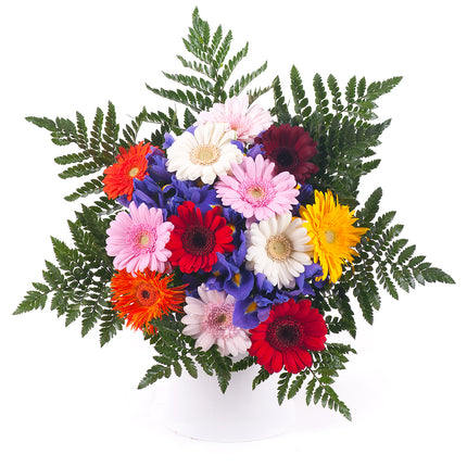 03000593_elite-bunte-gerbera-und-iris