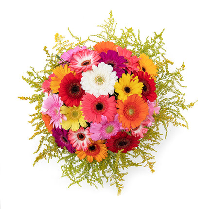 03000594_elite-bunte-gerbera-und-solidago