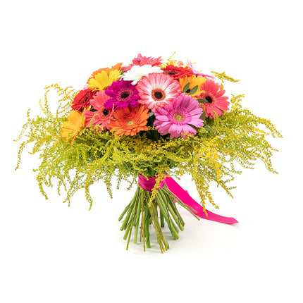 03000594_elite-bunte-gerbera-und-solidago