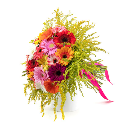 03000594_elite-bunte-gerbera-und-solidago