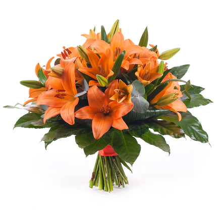 03000604_elite-orangefarbene-lilien
