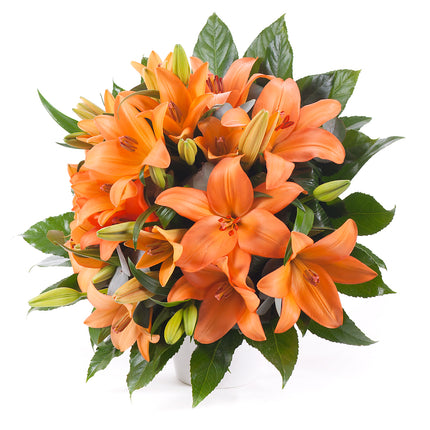 03000604_elite-orangefarbene-lilien