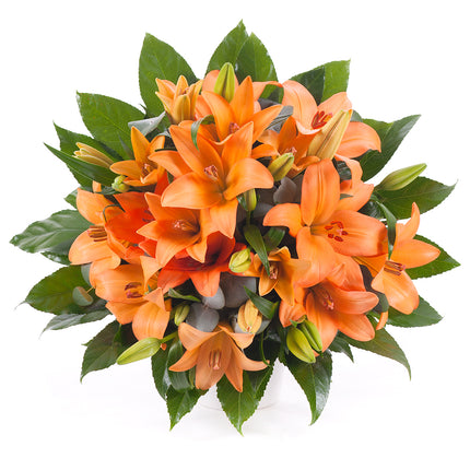 03000604_elite-orangefarbene-lilien