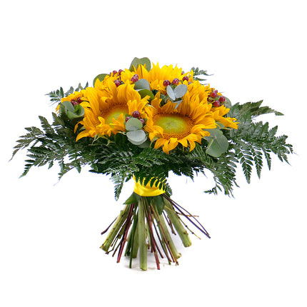 03000613_elite-sonnenblumen