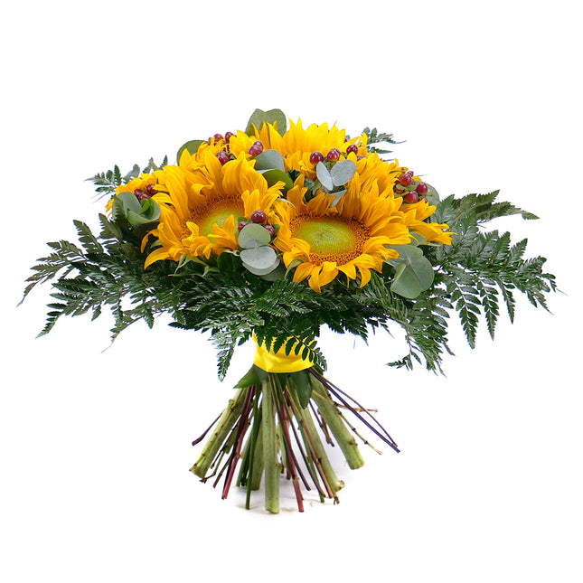 03000613_elite-sonnenblumen