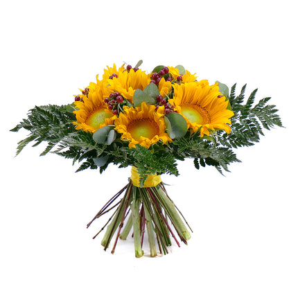 03000613_elite-sonnenblumen