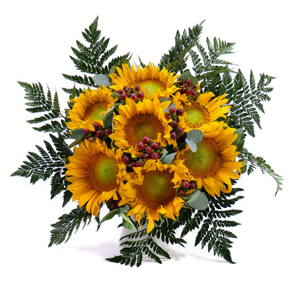 03000613_elite-sonnenblumen