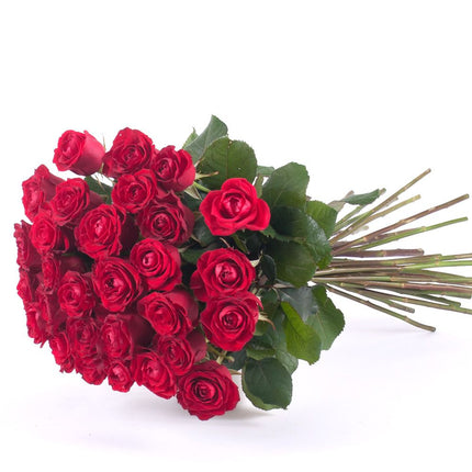 03000638_amore-25-rote-rosen-55-cm