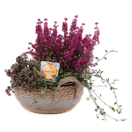 03001021_herbstdekoration-3