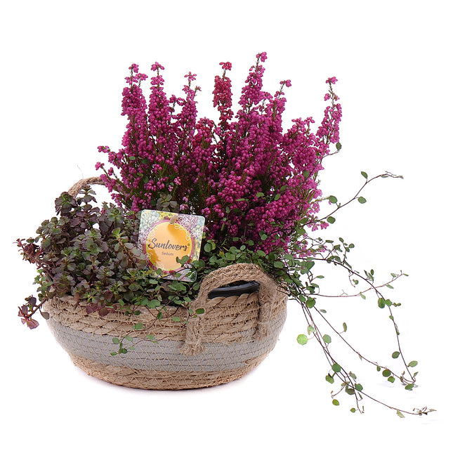 03001021_herbstdekoration-3