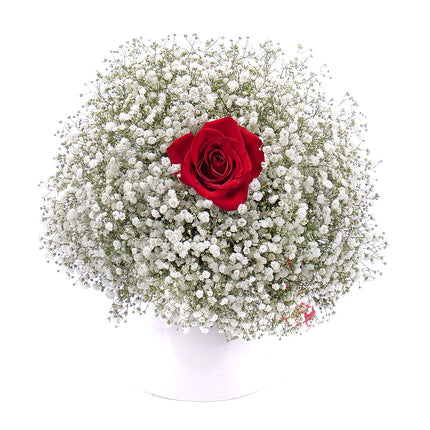 03001074_strauss-mit-schleierkraut-und-roter-rose