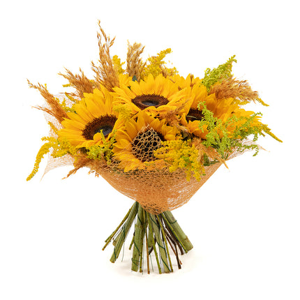 03001117_strauss-letana-21-mit-sonnenblumen