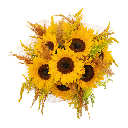03001117_strauss-letana-21-mit-sonnenblumen