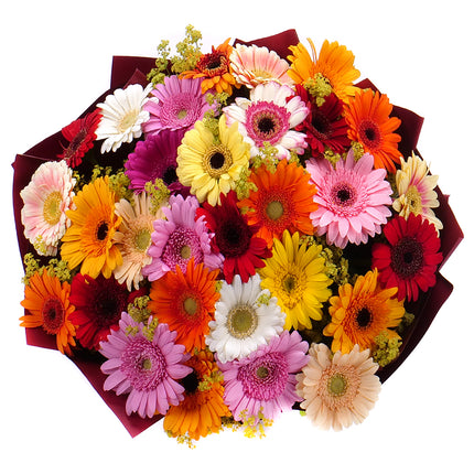 03001122_strauss-letana-26-mit-bunten-mini-gerbera