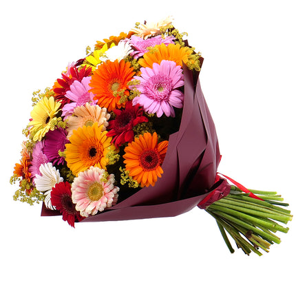 03001122_strauss-letana-26-mit-bunten-mini-gerbera