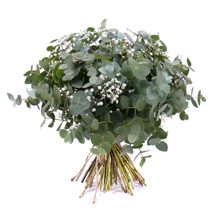03001331_nature-strauss-mit-eukalyptus-und-schleierkraut