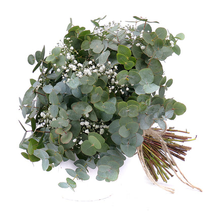 03001331_nature-strauss-mit-eukalyptus-und-schleierkraut
