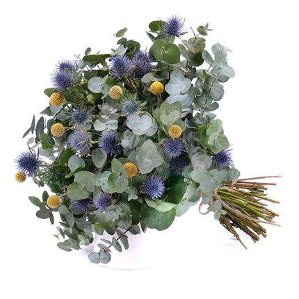 03001332_nature-strauss-mit-eukalyptus-eryngium-und-craspedia