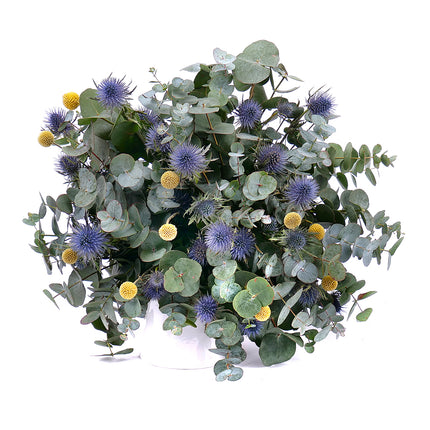 03001332_nature-strauss-mit-eukalyptus-eryngium-und-craspedia