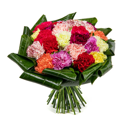 03001356_passion-bunte-nelken