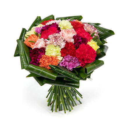 03001356_passion-bunte-nelken