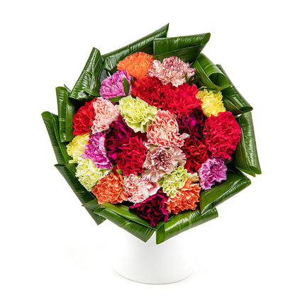 03001356_passion-bunte-nelken