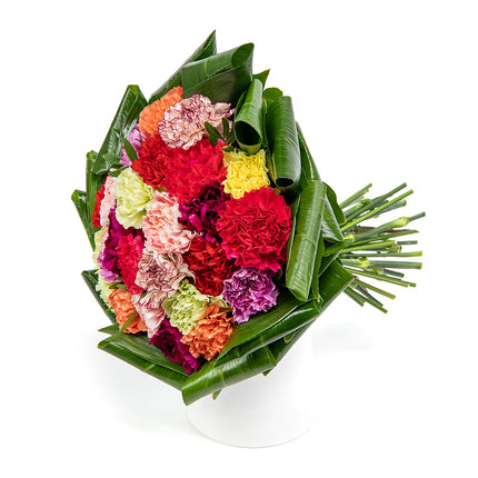 03001356_passion-bunte-nelken