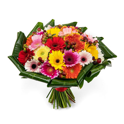 03001357_passion-bunte-mini-gerbera