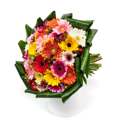 03001357_passion-bunte-mini-gerbera