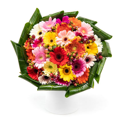 03001357_passion-bunte-mini-gerbera
