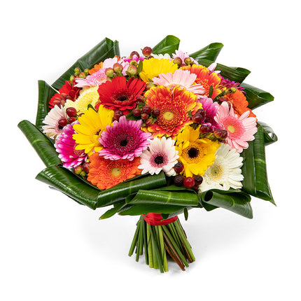 03001357_passion-bunte-mini-gerbera