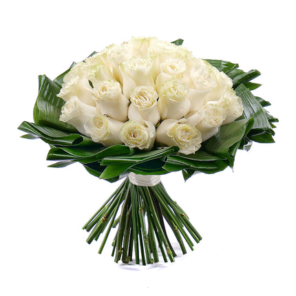 03001361_passion-cremefarbene-rosen