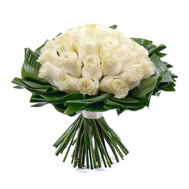 03001361_passion-cremefarbene-rosen