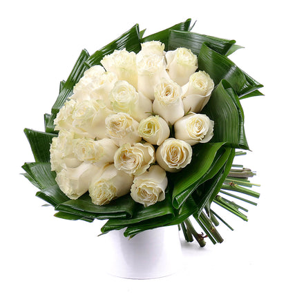 03001361_passion-cremefarbene-rosen