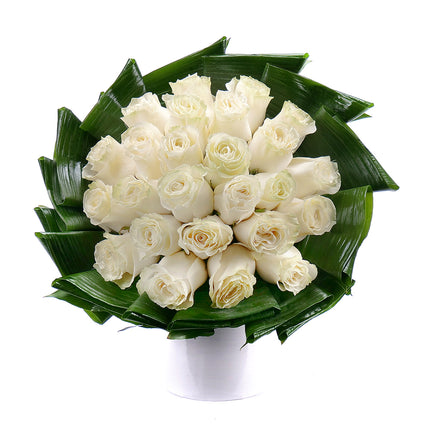 03001361_passion-cremefarbene-rosen