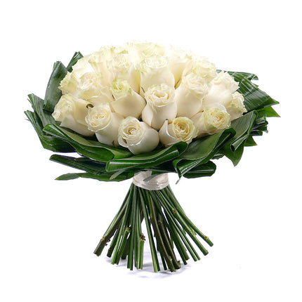 03001361_passion-cremefarbene-rosen