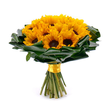 03001366_passion-sonnenblumen