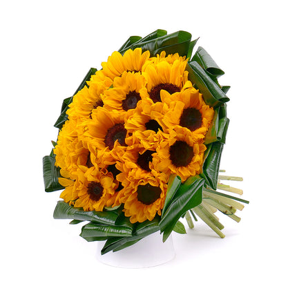03001366_passion-sonnenblumen
