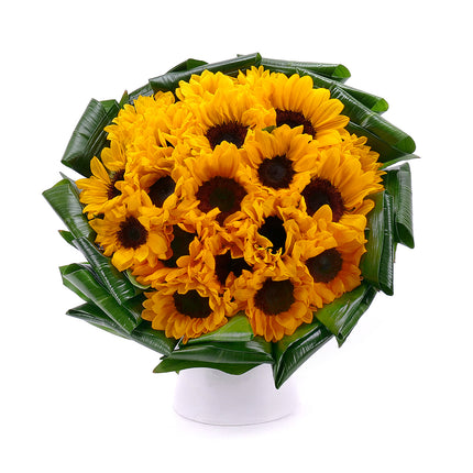 03001366_passion-sonnenblumen