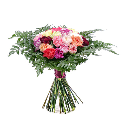 03001384_perla-bunte-nelken