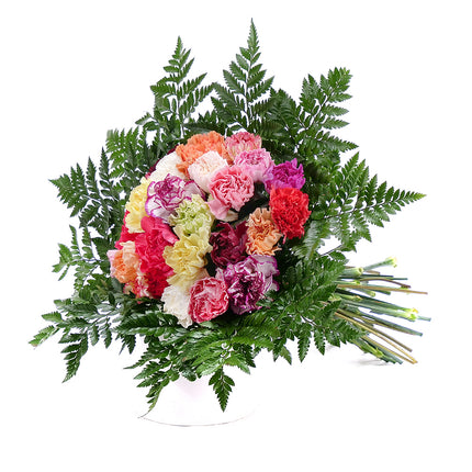 03001384_perla-bunte-nelken