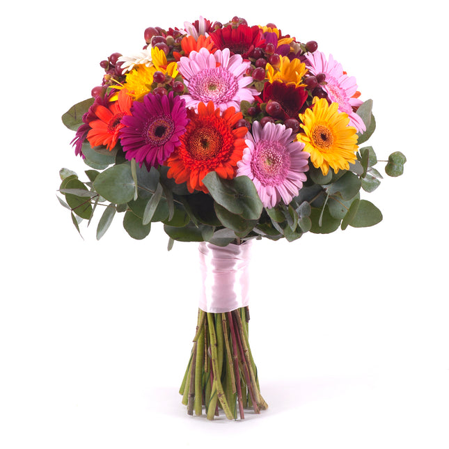 03001385_perla-bunte-mini-gerbera