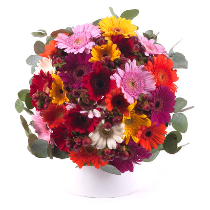 03001385_perla-bunte-mini-gerbera