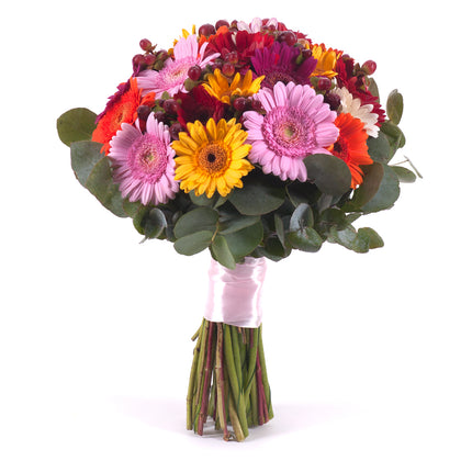 03001385_perla-bunte-mini-gerbera